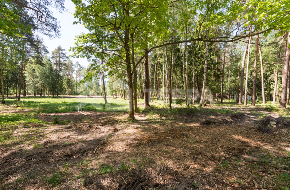 Объект ID 18069 - Участок