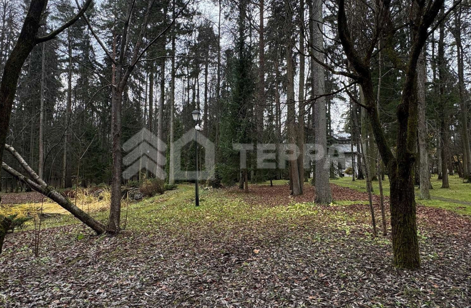 Объект ID 18250 - Дом