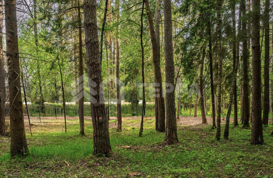 Объект ID 19096 - Участок