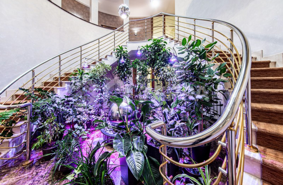 Объект ID 18830 - Дом