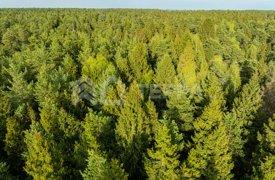 Объект ID 19098 - Участок