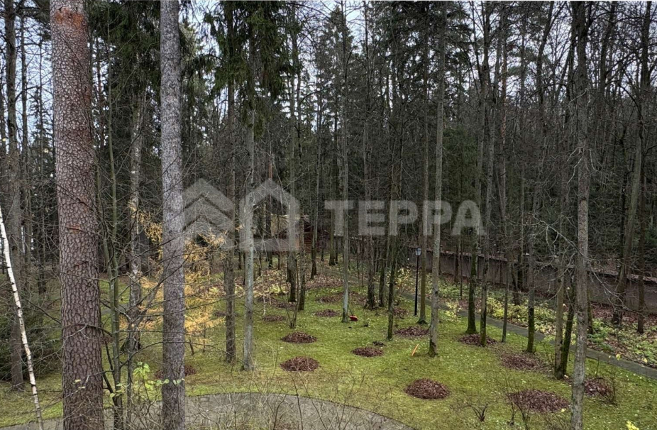 Объект ID 18250 - Дом