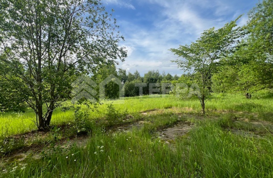 Объект ID 18092 - Участок