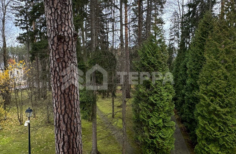 Объект ID 19034 - Участок