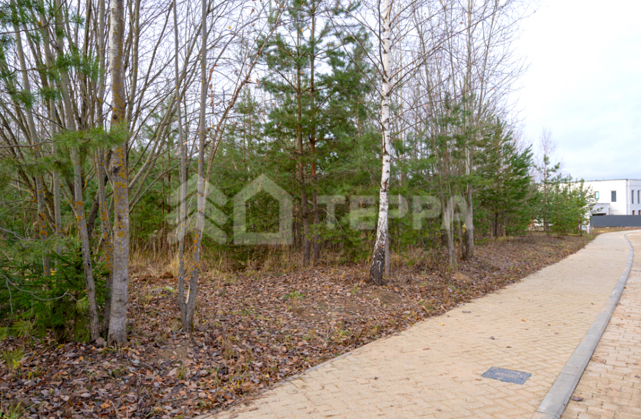 Объект ID 18714 - Участок