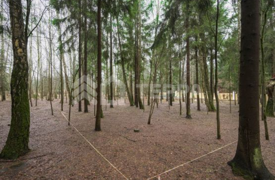 Объект ID 18394 - Участок