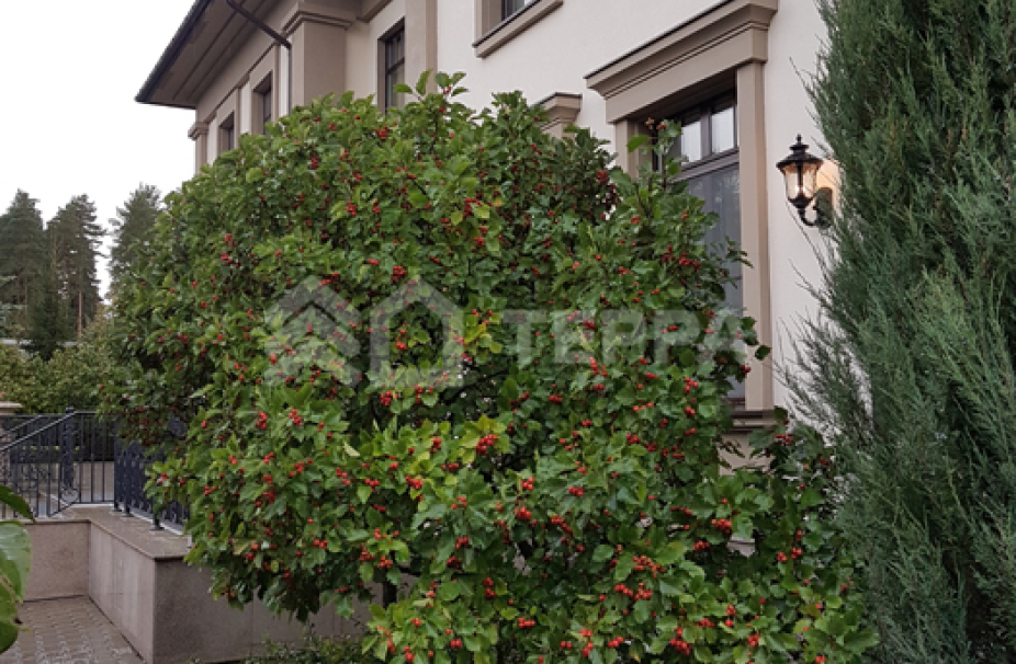 Объект ID 16474 - Дом