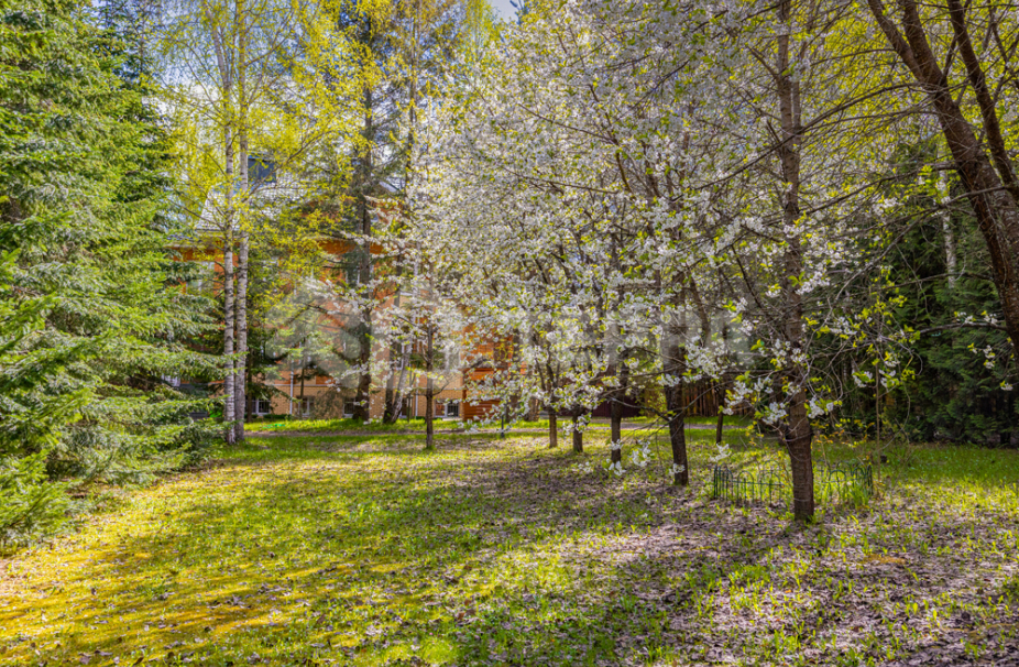 Объект ID 18583 - Участок