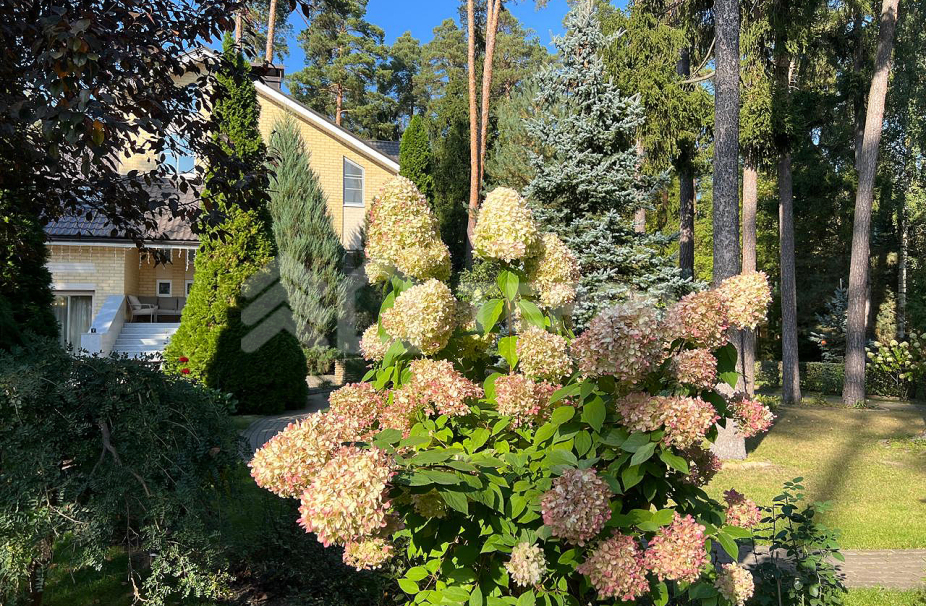 Объект ID 18185 - Дом