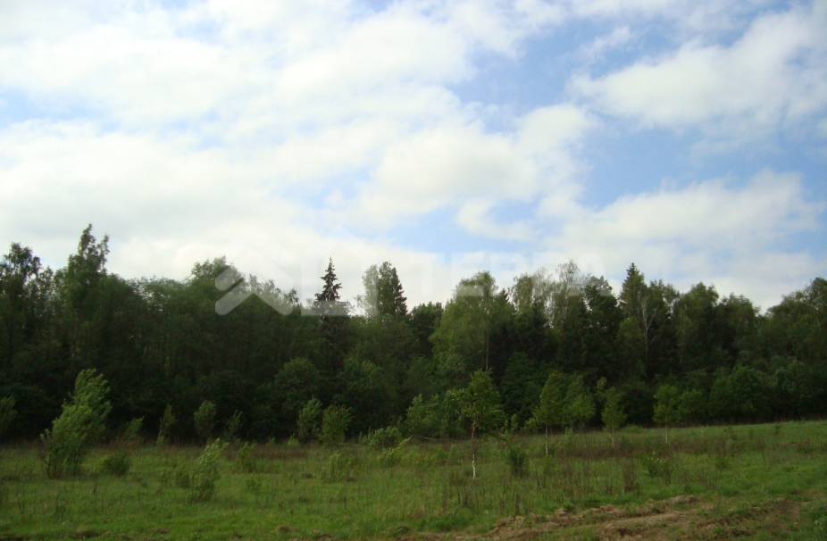 Объект ID 13929 - Участок