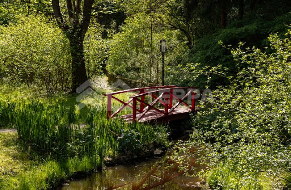 Объект ID 18658 - Участок