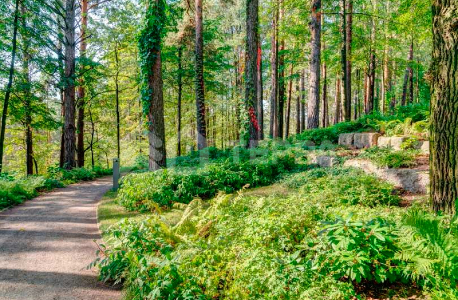 Объект ID 14653 - Дом