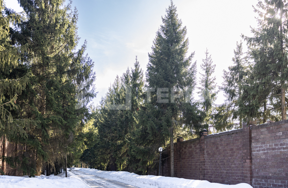 Объект ID 17973 - Участок