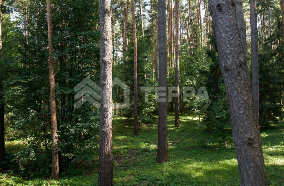 Объект ID 18746 - Дом