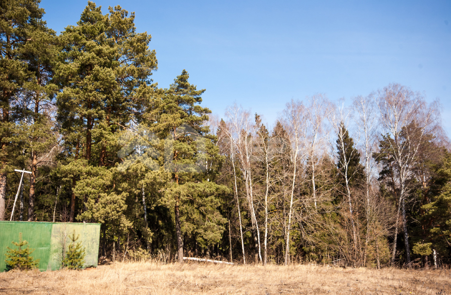 Объект ID 15163 - Дом