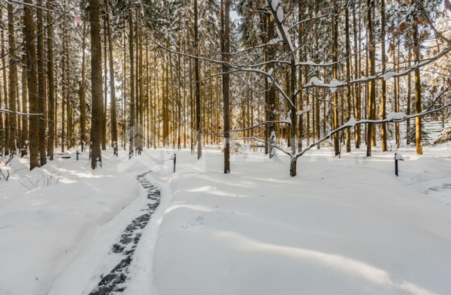 Объект ID 16568 - Дом