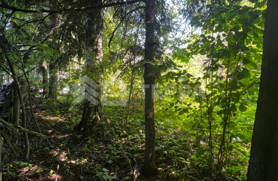 Объект ID 17162 - Участок