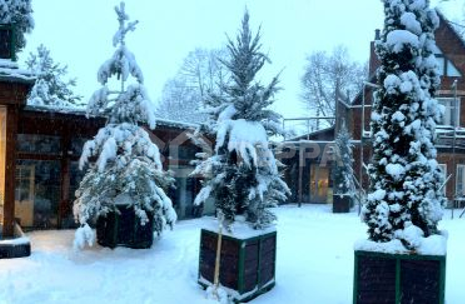 Объект ID 17260 - Дом