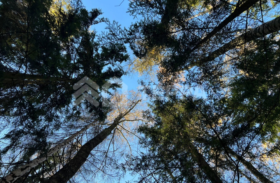 Объект ID 18445 - Участок