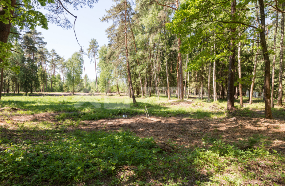 Объект ID 18069 - Участок