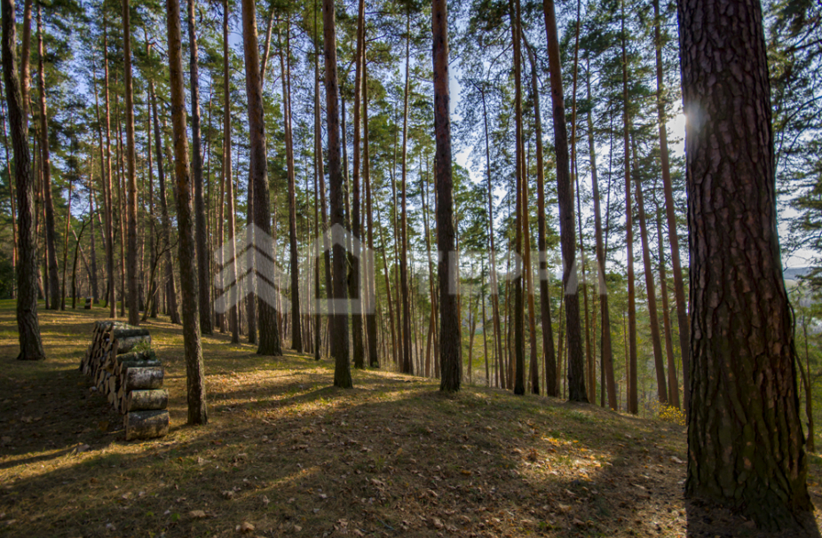 Объект ID 17976 - Участок