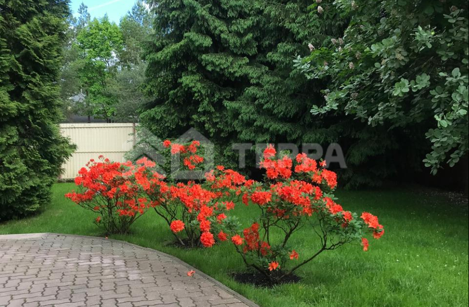 Объект ID 18593 - Дом