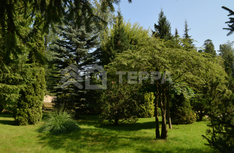 Объект ID 10092 - Дом