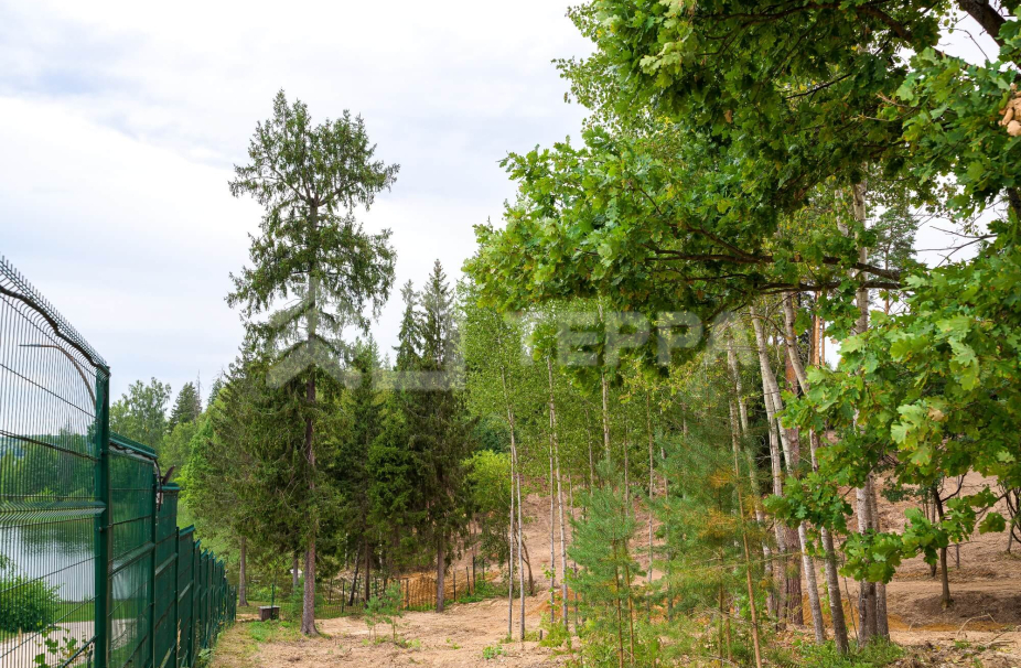 Объект ID 18167 - Участок