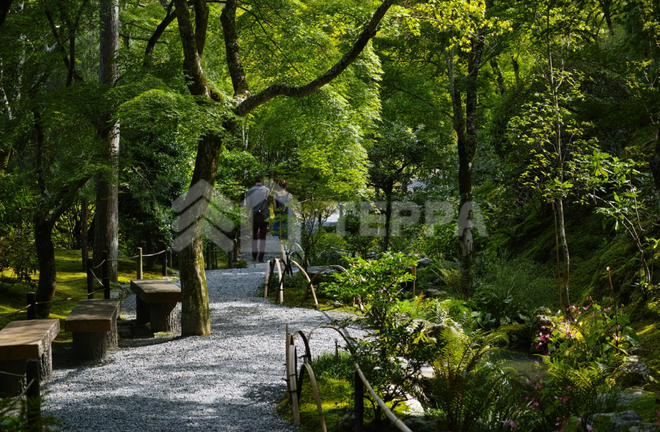 Объект ID 18133 - Участок