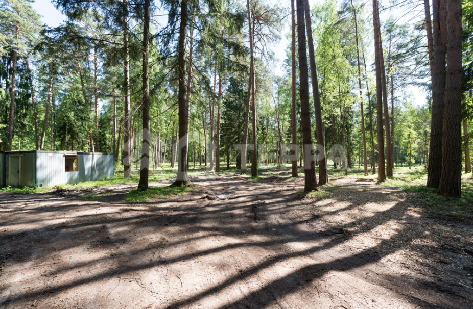 Объект ID 18069 - Участок