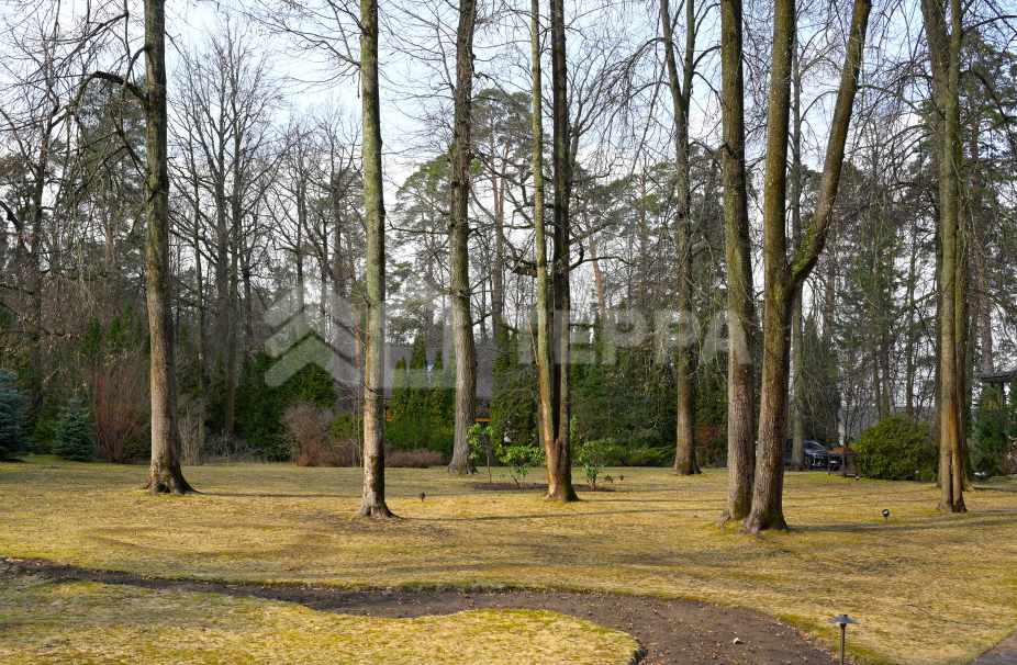 Объект ID 8224 - Дом