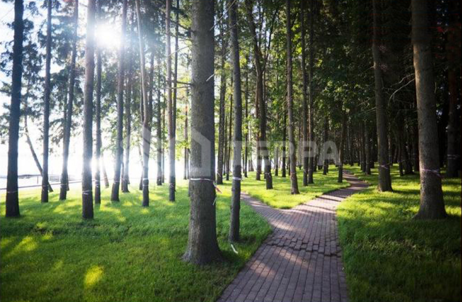 Лазурный берег