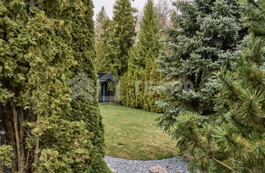 Объект ID 17649 - Дом