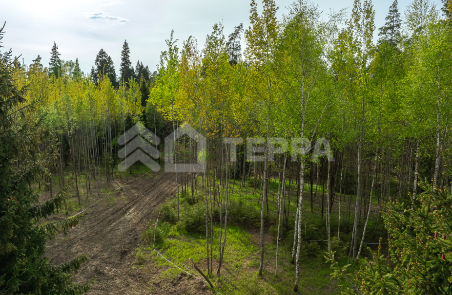 Объект ID 18570 - Участок