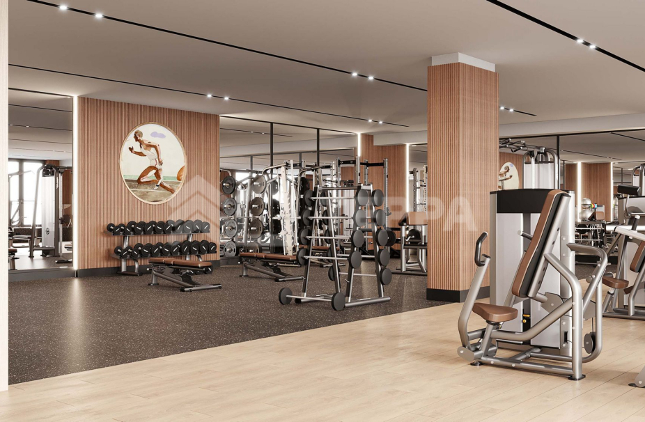 Объект ID 43655 - 