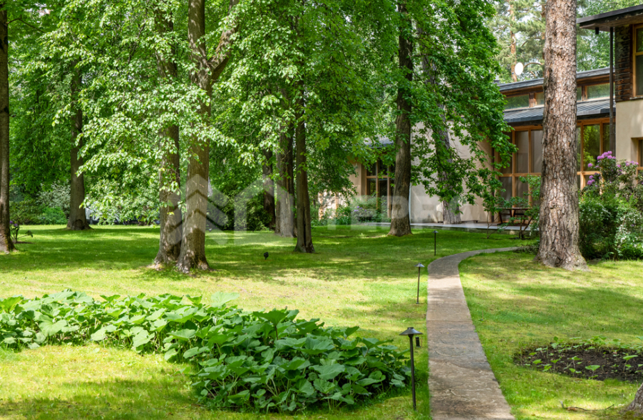 Объект ID 18661 - Участок