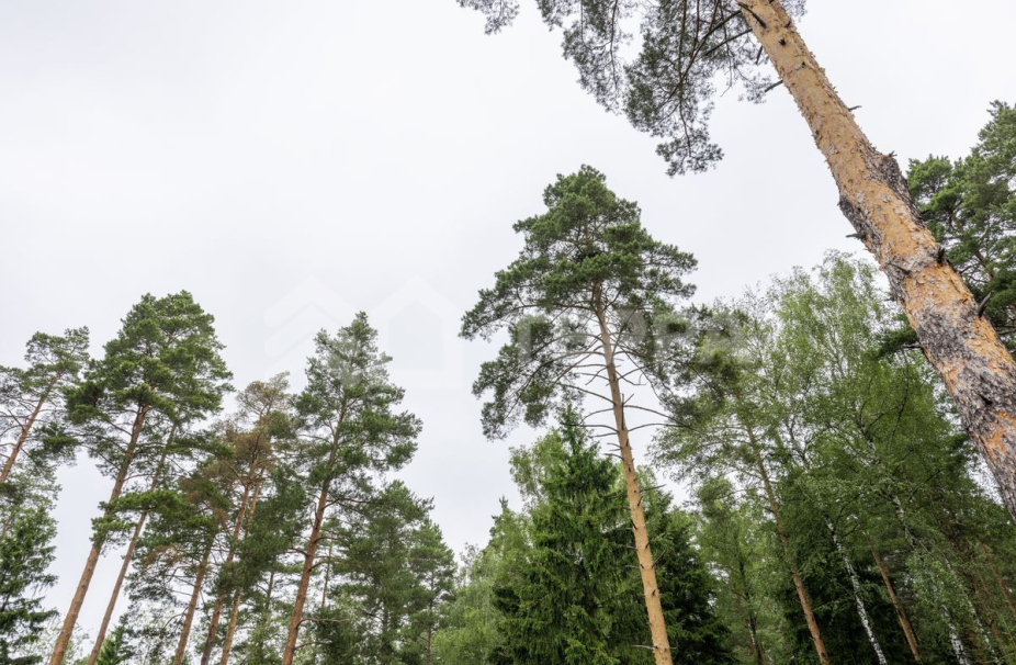 Объект ID 18509 - Дом