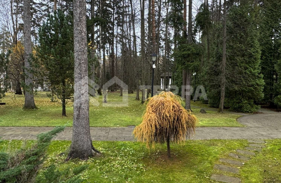 Объект ID 19034 - Участок