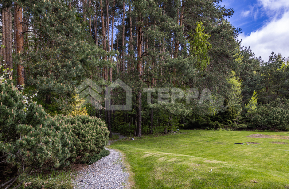 Объект ID 15816 - Дом