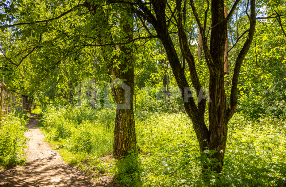 Объект ID 10579 - Участок