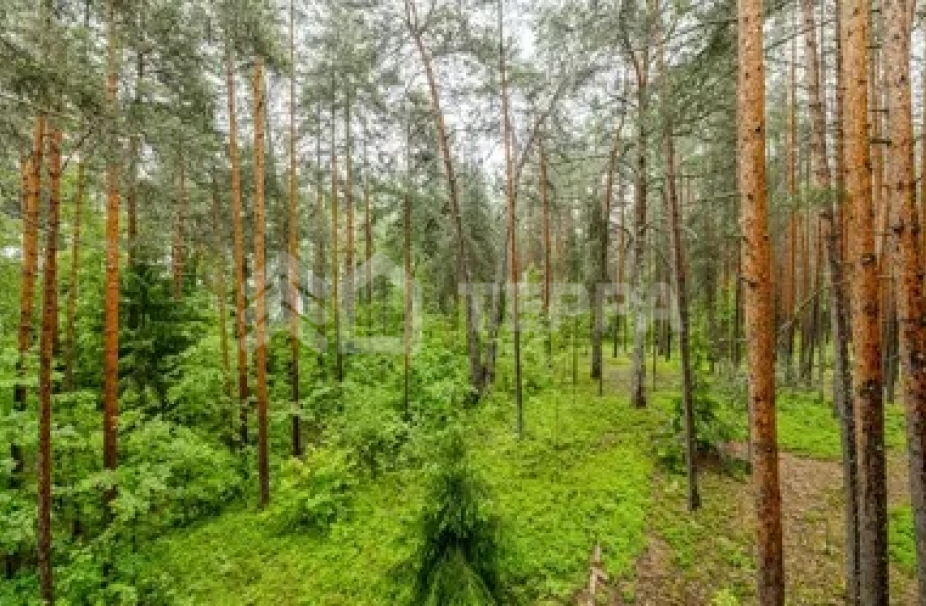 Объект ID 18098 - Дом