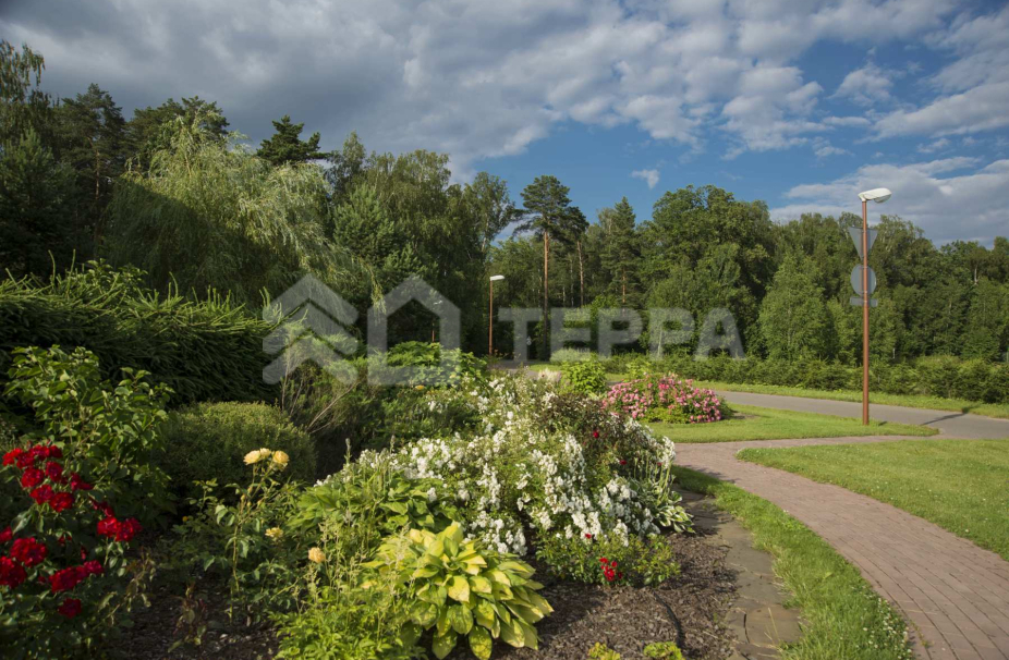 Дарьино-Успенское