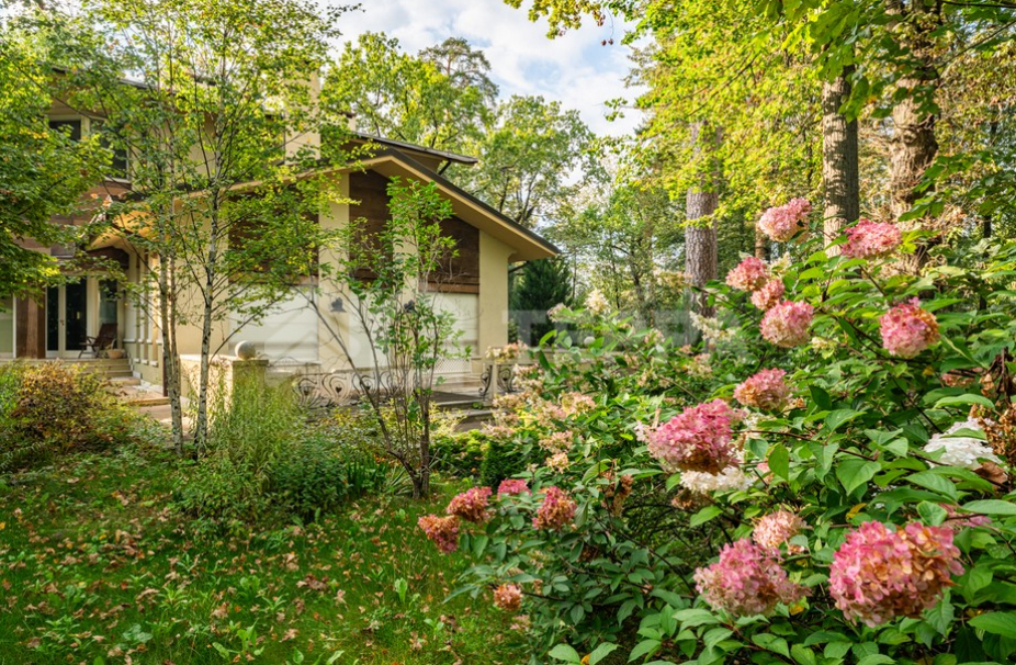 Объект ID 18906 - Дом