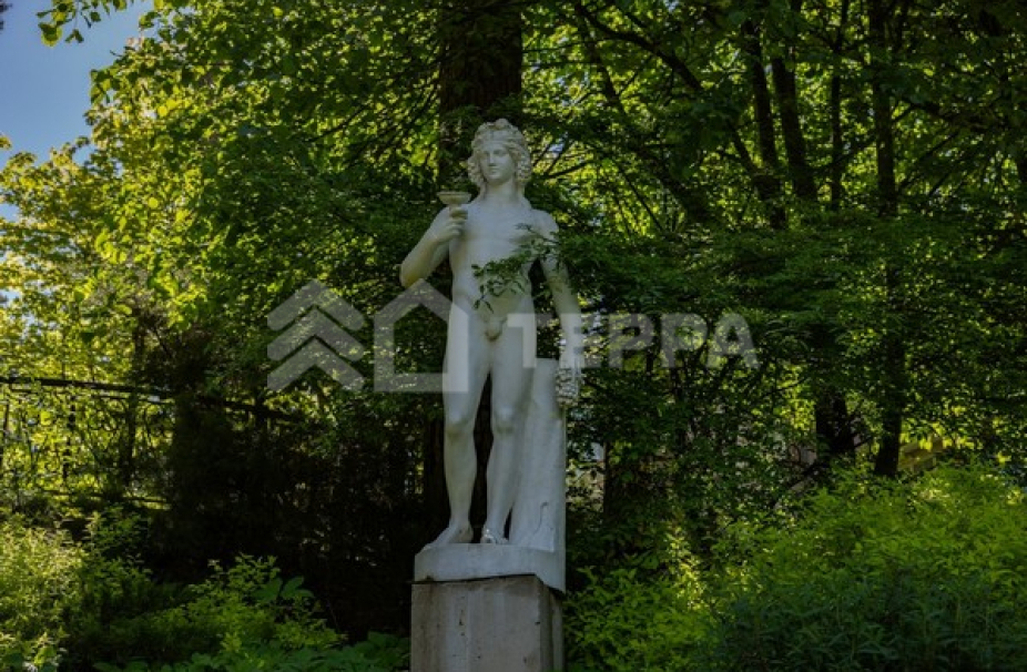 Объект ID 18658 - Участок