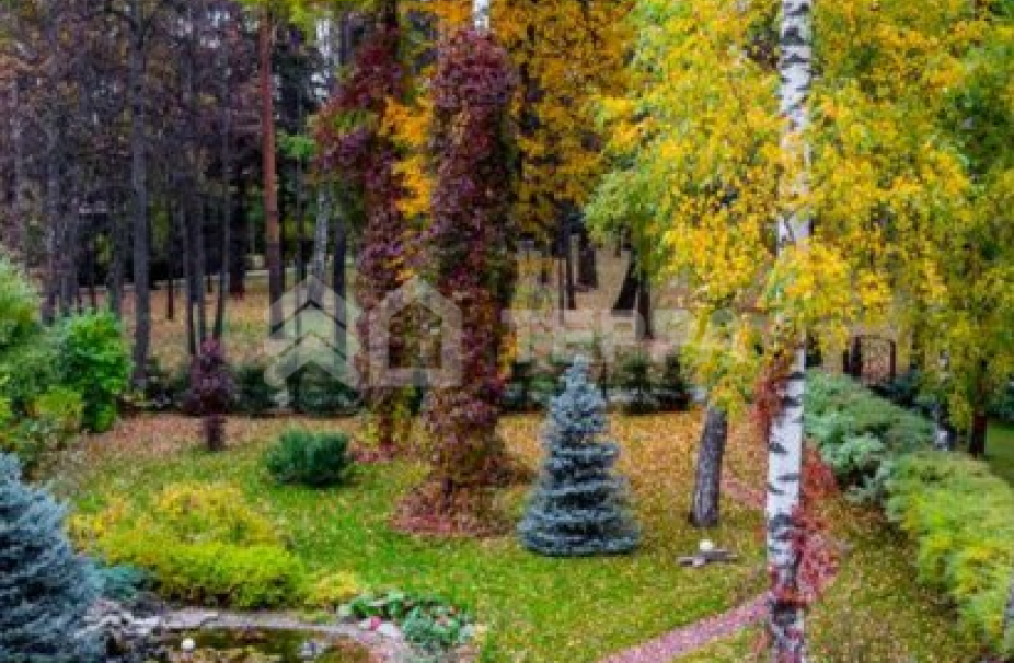 Объект ID 18671 - Дом