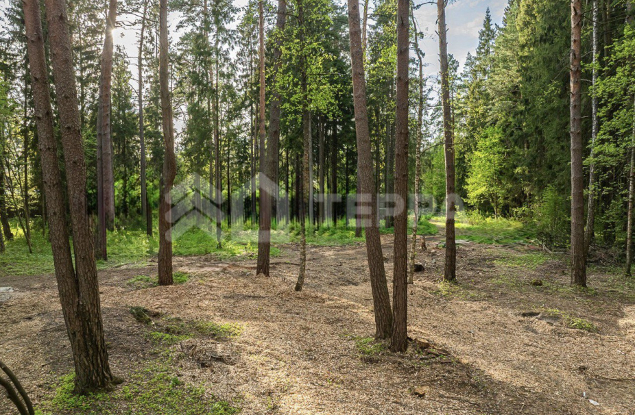 Объект ID 19097 - Участок