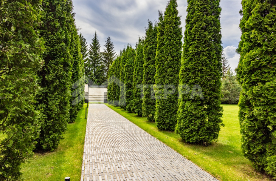 Объект ID 18676 - Дом