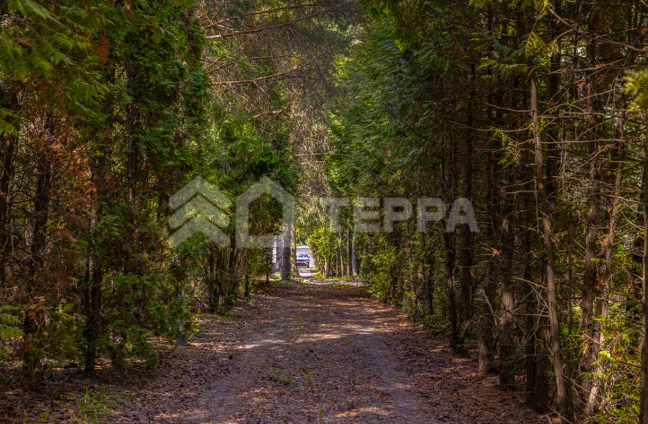 Объект ID 18583 - Участок