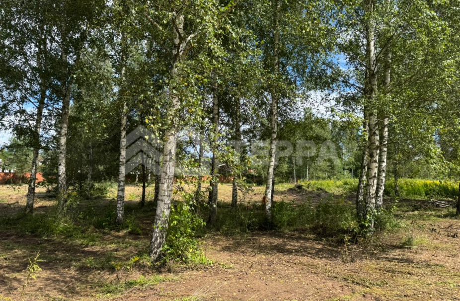 Объект ID 18919 - Участок