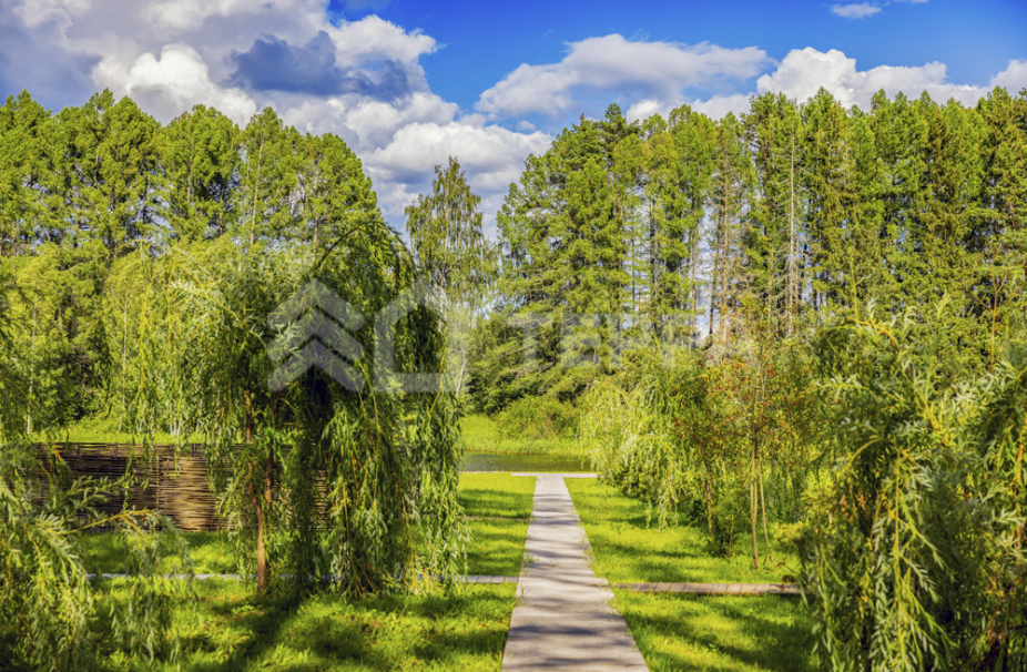 Объект ID 18828 - Дом